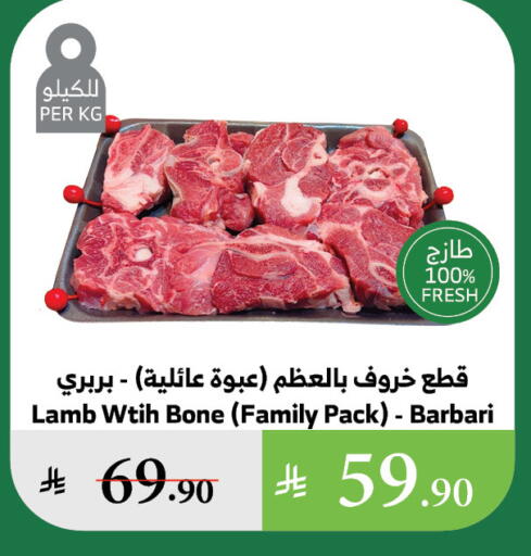 اللحوم الطازجة والمبردة in الراية, المملكة العربية السعودية Offers - المملكة العربية السعودية لحم الضأن / الغنم available at الراية in مملكة العربية السعودية, السعودية, سعودية - تبوك