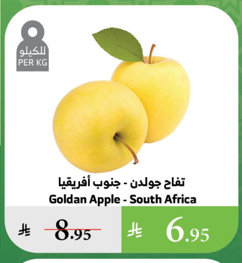Apples from South Africa available at Al Raya in KSA, Saudi Arabia, Saudi - Al Qunfudhah