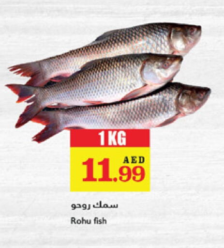 available at Trolleys Supermarket in UAE - Sharjah / Ajman