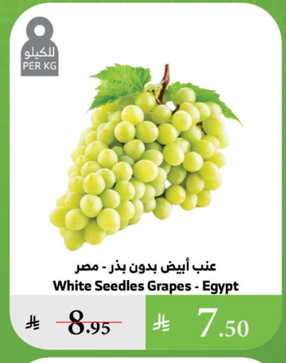 Fresh Fruits in Al Raya, Saudi Arabia Offers - Saudi Arabia Grapes from Egypt available at Al Raya in KSA, Saudi Arabia, Saudi - Tabuk