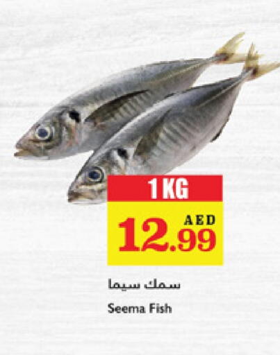 available at Trolleys Supermarket in UAE - Sharjah / Ajman