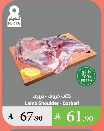 اللحوم الطازجة والمبردة in الراية, المملكة العربية السعودية Offers - المملكة العربية السعودية لحم الضأن / الغنم available at الراية in مملكة العربية السعودية, السعودية, سعودية - تبوك