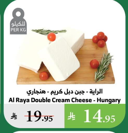Cream Cheese available at Al Raya in KSA, Saudi Arabia, Saudi - Al Qunfudhah