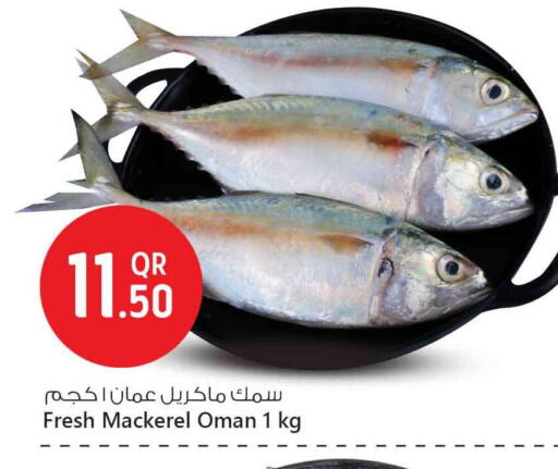 available at Safari Hypermarket in Qatar - Al-Shahaniya