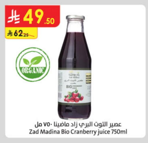 العصائر و المشروبات in الدانوب, المملكة العربية السعودية Offers - المملكة العربية السعودية Cranberry available at الدانوب in مملكة العربية السعودية, السعودية, سعودية - المدينة المنورة
