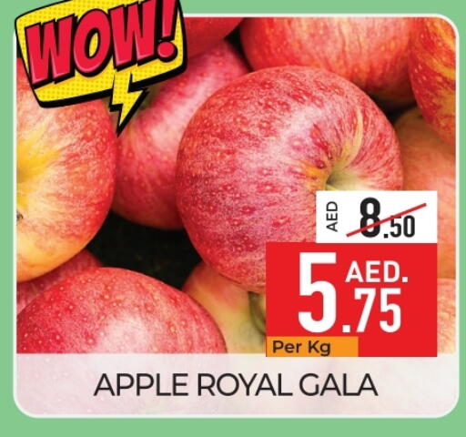 Apples available at Delice Supermarket in UAE - Abu Dhabi
