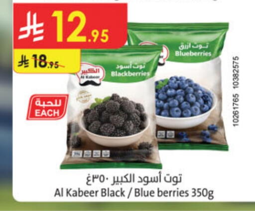 AL KABEER available at Danube in KSA, Saudi Arabia, Saudi - Al Hasa