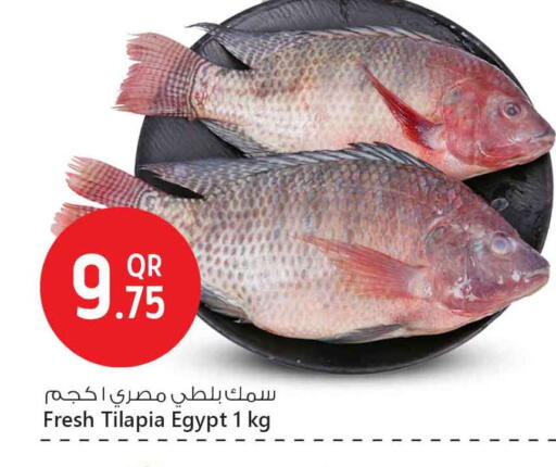available at Safari Hypermarket in Qatar - Al-Shahaniya