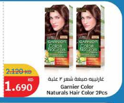 GARNIER Hair Colour available at City Hypermarket in Kuwait - Jahra Governorate