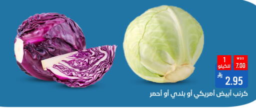 Fresh Vegetables in Shubra AlTaif, Saudi Arabia Offers - Saudi Arabia Cabbage available at Shubra AlTaif in KSA, Saudi Arabia, Saudi - Ta'if