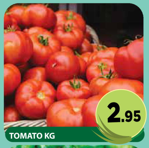 Tomato available at Fresh Spike Supermarket in UAE - Dubai