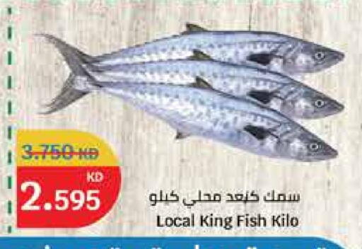 King Fish available at City Hypermarket in Kuwait - Ahmadi Governorate