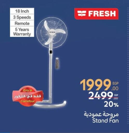 FRESH Fan available at Carrefour  in Egypt - Cairo