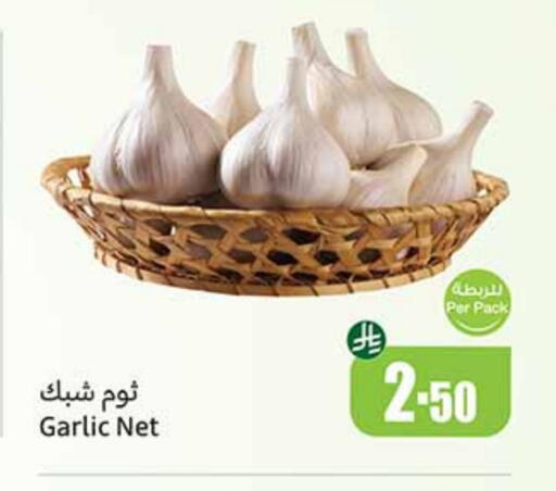 Fresh Vegetables in Othaim Markets, Saudi Arabia Offers - Saudi Arabia Garlic available at Othaim Markets in KSA, Saudi Arabia, Saudi - Al Bahah