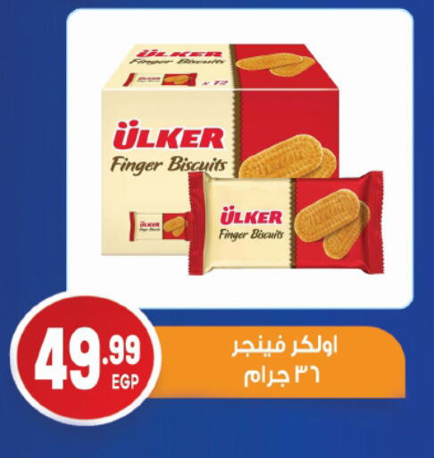 available at El mhallawy Sons in Egypt - Cairo