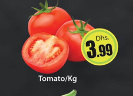 Tomato available at Al Madina  in UAE - Dubai