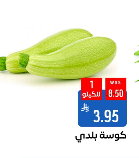 Fresh Vegetables in Shubra AlTaif, Saudi Arabia Offers - Saudi Arabia Zucchini available at Shubra AlTaif in KSA, Saudi Arabia, Saudi - Ta'if
