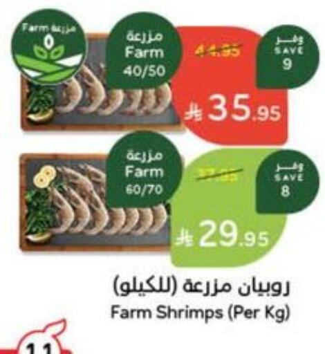 available at Hyper Panda in KSA, Saudi Arabia, Saudi - Saihat