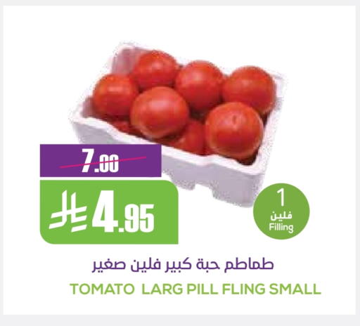 Tomato available at Sapt in KSA, Saudi Arabia, Saudi - Buraidah