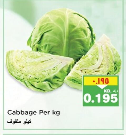 Cabbage available at Nesto Hypermarkets in Kuwait - Ahmadi Governorate