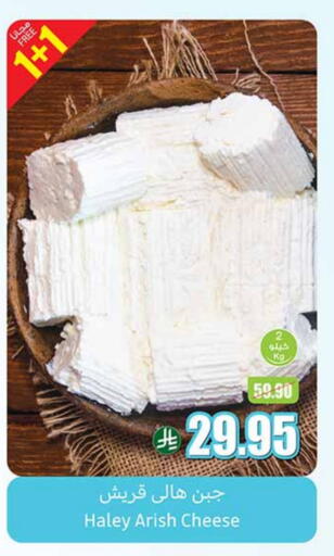 Cheese & Cream in Othaim Markets, Saudi Arabia Offers - Saudi Arabia available at Othaim Markets in KSA, Saudi Arabia, Saudi - Al Majmaah