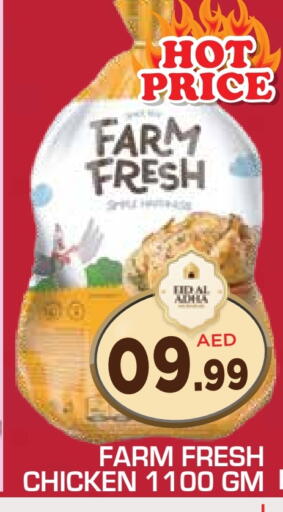 FARM FRESH Fresh Whole Chicken available at Baniyas Spike  in UAE - Umm al Quwain