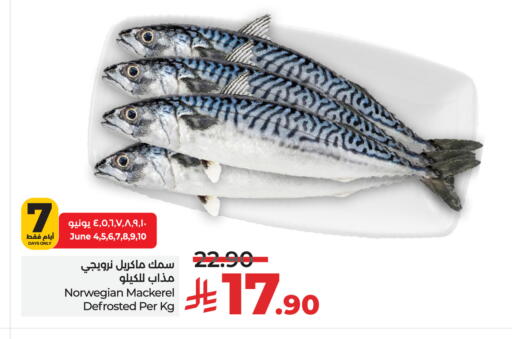 available at LULU Hypermarket in KSA, Saudi Arabia, Saudi - Hail
