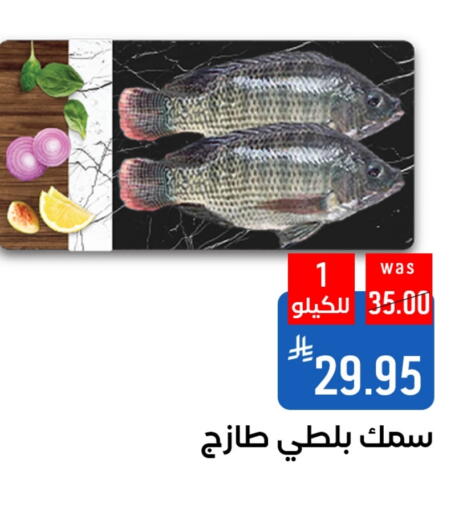 available at Shubra AlTaif in KSA, Saudi Arabia, Saudi - Ta'if