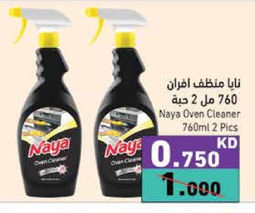 General Cleaner available at Ramez in Kuwait - Ahmadi Governorate