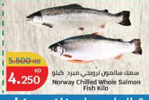available at City Hypermarket in Kuwait - Ahmadi Governorate