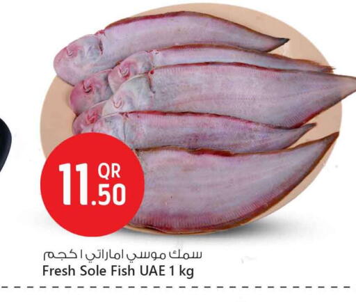 available at Safari Hypermarket in Qatar - Al-Shahaniya