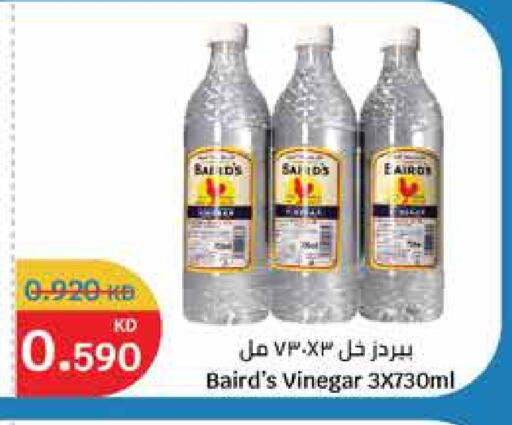 خل available at سيتي هايبرماركت in الكويت - محافظة الجهراء
