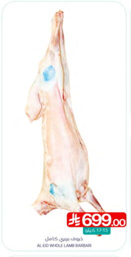 Mutton / Lamb available at Muntazah Markets in KSA, Saudi Arabia, Saudi - Qatif