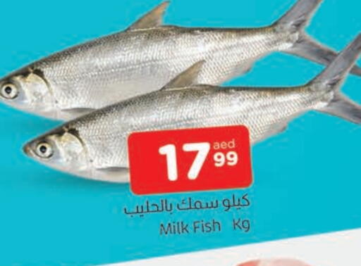 available at AL MADINA in UAE - Sharjah / Ajman