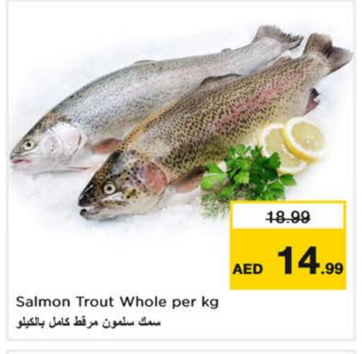 available at Nesto Hypermarket in UAE - Fujairah