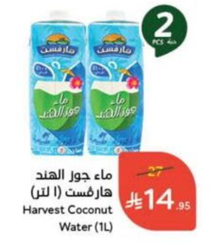 Juices & Drinks in Hyper Panda, Saudi Arabia Offers - Saudi Arabia Coconut available at Hyper Panda in KSA, Saudi Arabia, Saudi - Al Bahah
