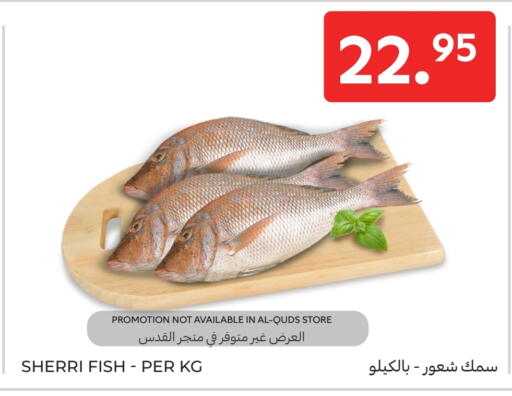 available at Carrefour in KSA, Saudi Arabia, Saudi - Jeddah