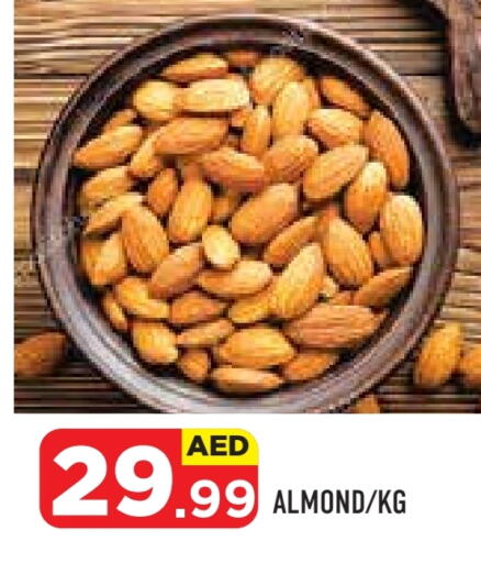 available at سنابل بني ياس in الإمارات العربية المتحدة , الامارات - ٱلْعَيْن‎