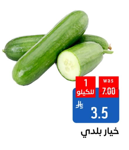 Fresh Vegetables in Shubra AlTaif, Saudi Arabia Offers - Saudi Arabia Cucumber available at Shubra AlTaif in KSA, Saudi Arabia, Saudi - Ta'if