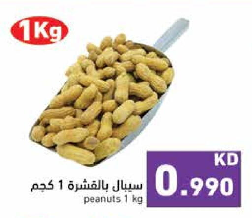 available at  رامز in الكويت - محافظة الجهراء