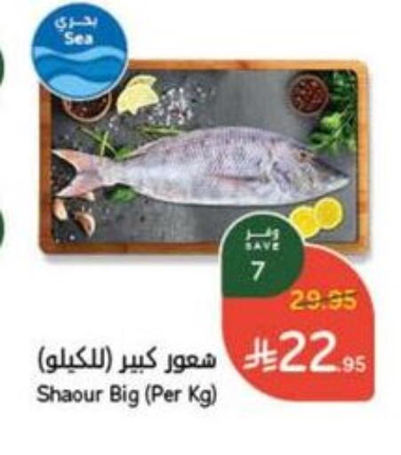 available at Hyper Panda in KSA, Saudi Arabia, Saudi - Abha