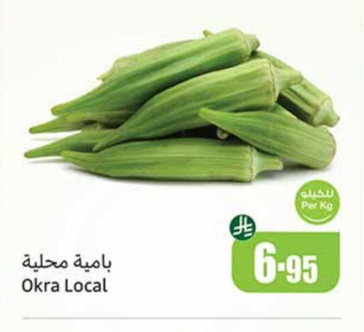 Fresh Vegetables in Othaim Markets, Saudi Arabia Offers - Saudi Arabia Lady's finger available at Othaim Markets in KSA, Saudi Arabia, Saudi - Al Bahah
