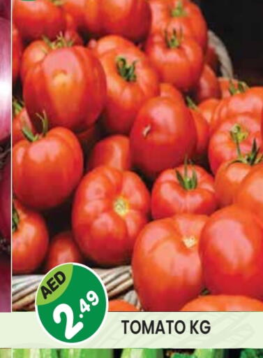 Tomato available at Baniyas Spike  in UAE - Abu Dhabi