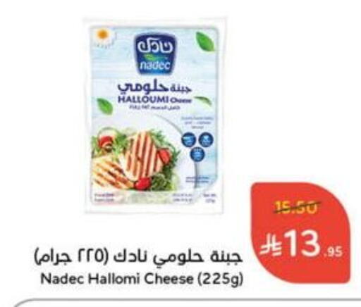 نادك حلومي available at هايبر بنده in مملكة العربية السعودية, السعودية, سعودية - سيهات