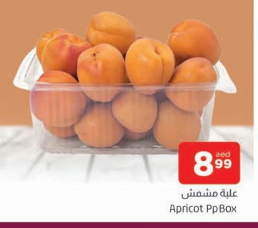Apricot available at AL MADINA in UAE - Sharjah / Ajman