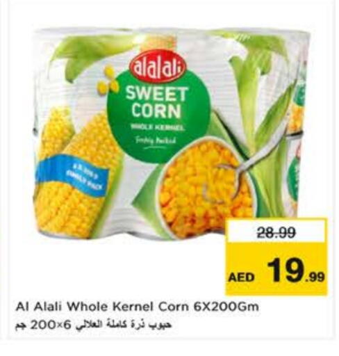 AL ALALI available at Nesto Hypermarket in UAE - Al Ain