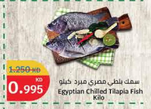 available at City Hypermarket in Kuwait - Ahmadi Governorate