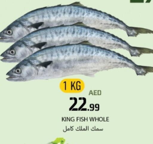 King Fish available at Rawabi Market Ajman in UAE - Sharjah / Ajman