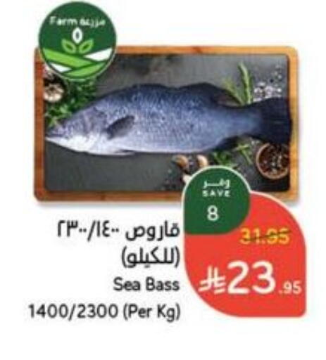 available at Hyper Panda in KSA, Saudi Arabia, Saudi - Abha