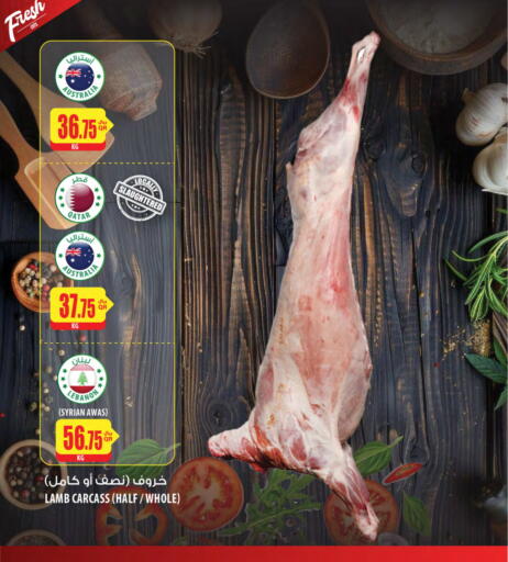 لحم الضأن / الغنم available at شركة الميرة للمواد الاستهلاكية in قطر - الضعاين